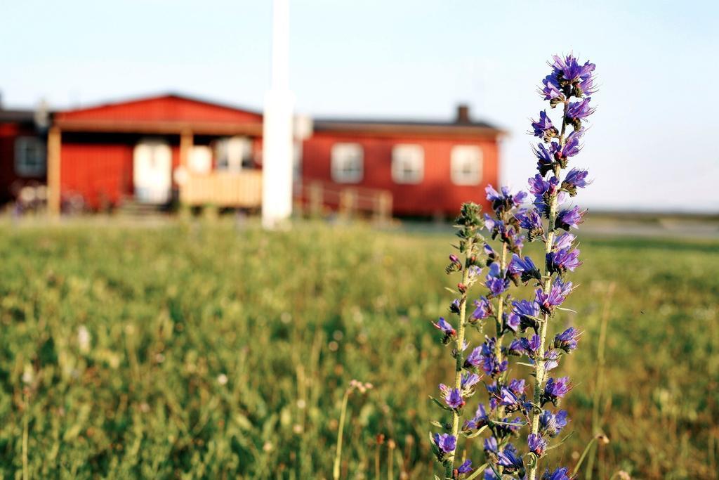 Fårösund Stf Bunge Hostel מראה חיצוני תמונה